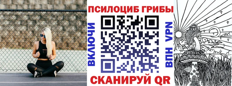 цены наркотик  Певек  Псилоцибиновые грибы мицелий 