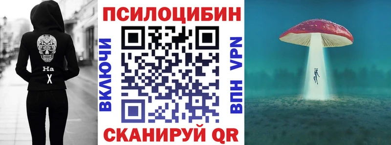 Галлюциногенные грибы мицелий Певек