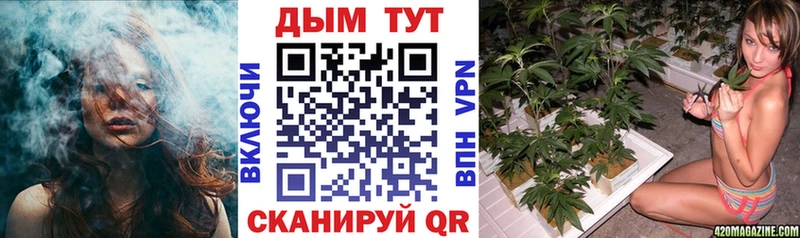 Бошки Шишки сатива  Певек 